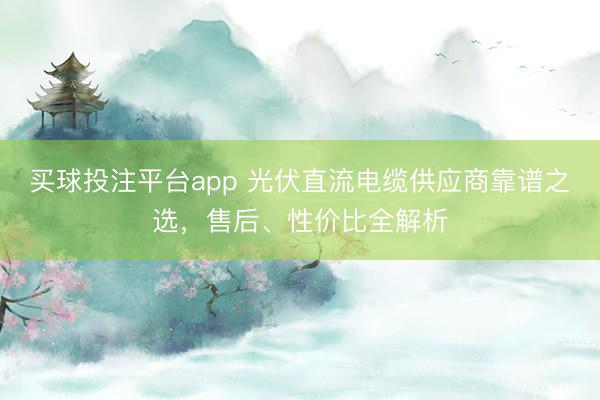 买球投注平台app 光伏直流电缆供应商靠谱之选，售后、性价比全解析