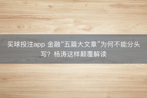 买球投注app 金融“五篇大文章”为何不能分头写？杨涛这样颠覆解读