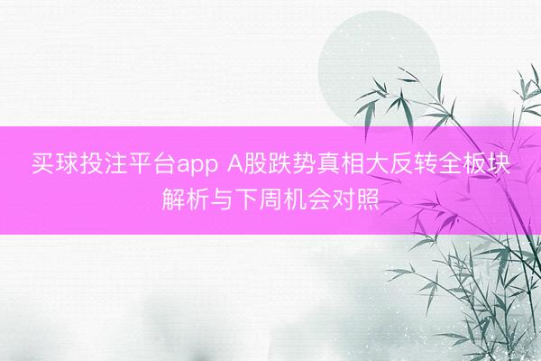 买球投注平台app A股跌势真相大反转全板块解析与下周机会对照