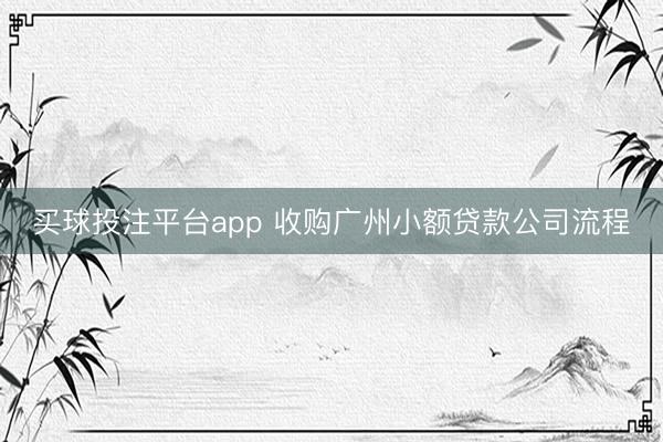 买球投注平台app 收购广州小额贷款公司流程