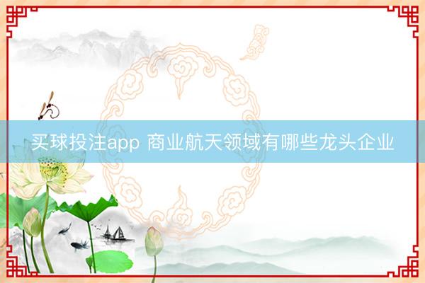 买球投注app 商业航天领域有哪些龙头企业