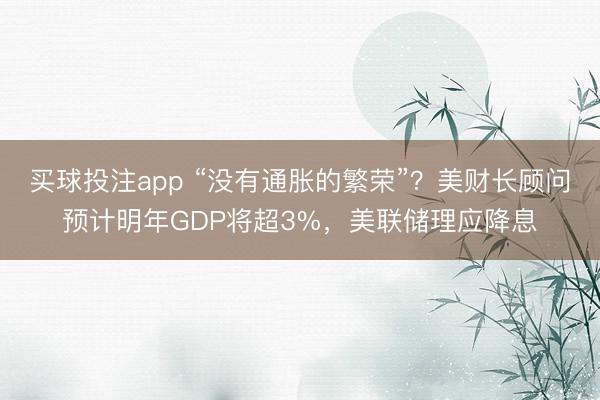 买球投注app “没有通胀的繁荣”？美财长顾问预计明年GDP将超3%，美联储理应降息