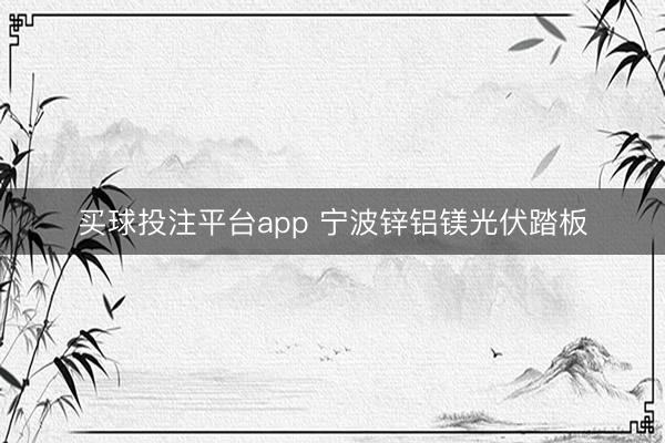 买球投注平台app 宁波锌铝镁光伏踏板