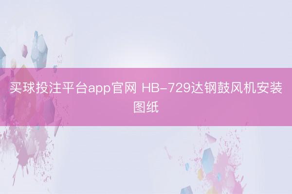 买球投注平台app官网 HB-729达钢鼓风机安装图纸