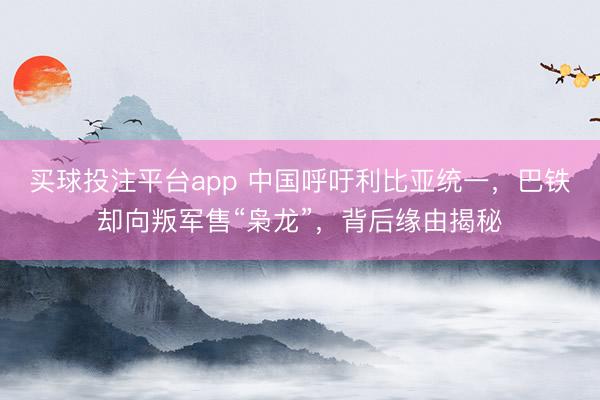 买球投注平台app 中国呼吁利比亚统一,巴铁却向叛军售“枭龙”,背后缘由揭秘