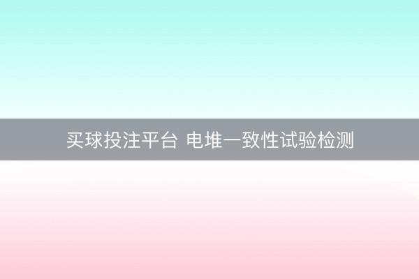 买球投注平台 电堆一致性试验检测