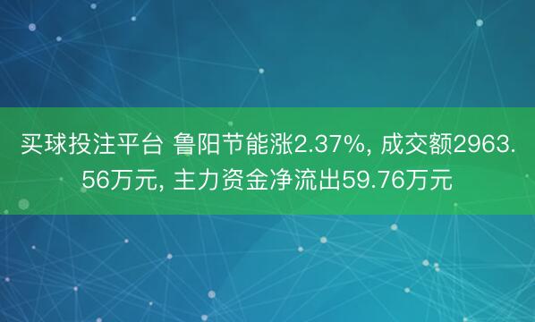 买球投注平台 鲁阳节能涨2.37%, 成交额2963.56万元, 主力资金净流出59.76万元