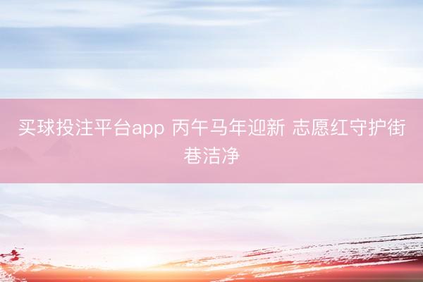 买球投注平台app 丙午马年迎新 志愿红守护街巷洁净