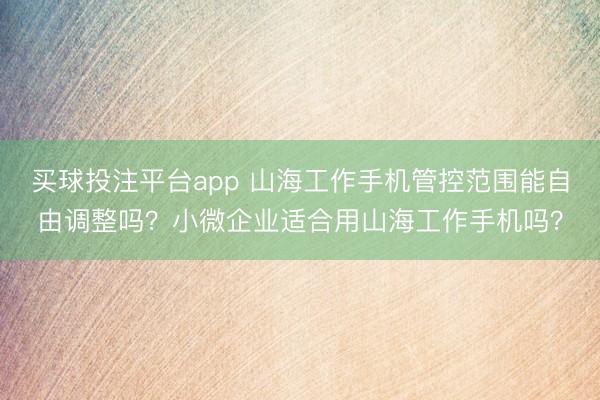 买球投注平台app 山海工作手机管控范围能自由调整吗？小微企业适合用山海工作手机吗？