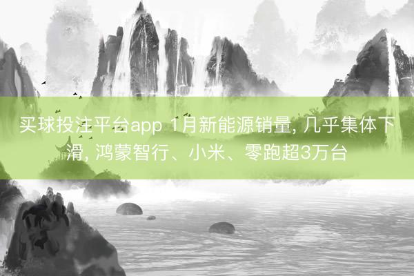 买球投注平台app 1月新能源销量, 几乎集体下滑, 鸿蒙智行、小米、零跑超3万台