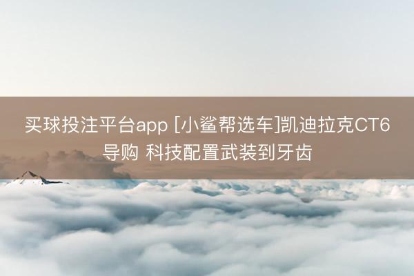 买球投注平台app [小鲨帮选车]凯迪拉克CT6导购 科技配置武装到牙齿