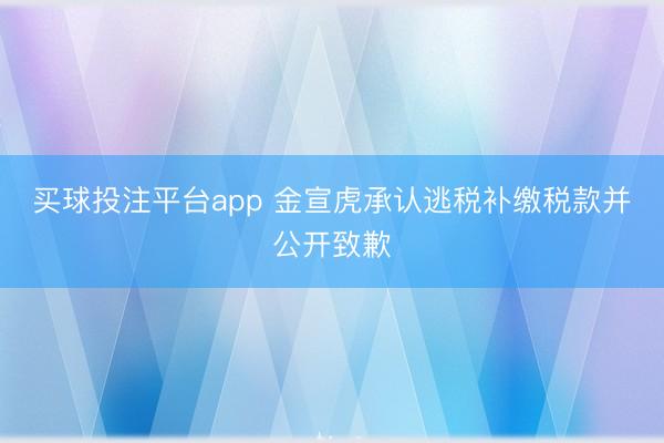 买球投注平台app 金宣虎承认逃税补缴税款并公开致歉