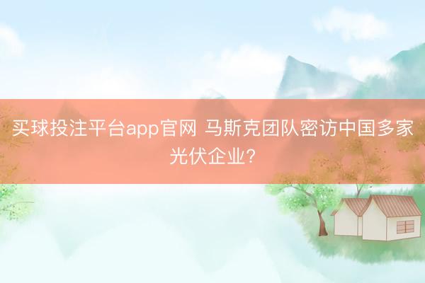 买球投注平台app官网 马斯克团队密访中国多家光伏企业?