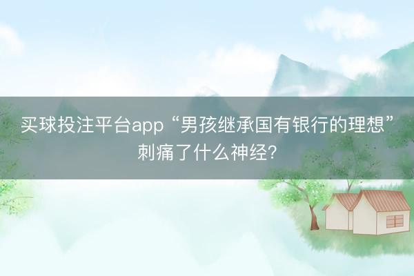 买球投注平台app “男孩继承国有银行的理想”刺痛了什么神经?