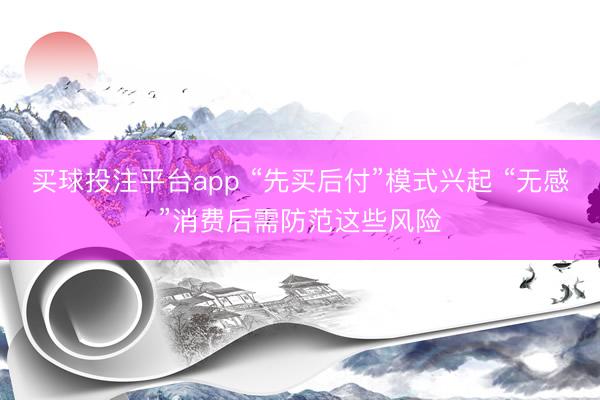 买球投注平台app “先买后付”模式兴起 “无感”消费后需防范这些风险