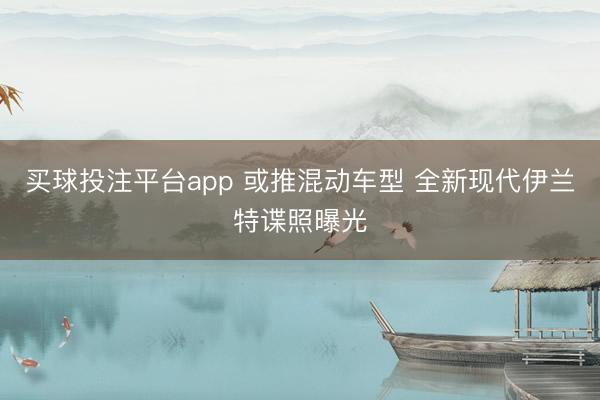 买球投注平台app 或推混动车型 全新现代伊兰特谍照曝光