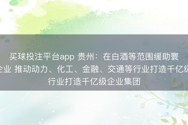 买球投注平台app 贵州：在白酒等范围缓助寰宇500强企业 推动动力、化工、金融、交通等行业打造千亿级企业集团