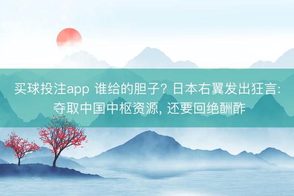买球投注app 谁给的胆子? 日本右翼发出狂言: 夺取中国中枢资源, 还要回绝酬酢