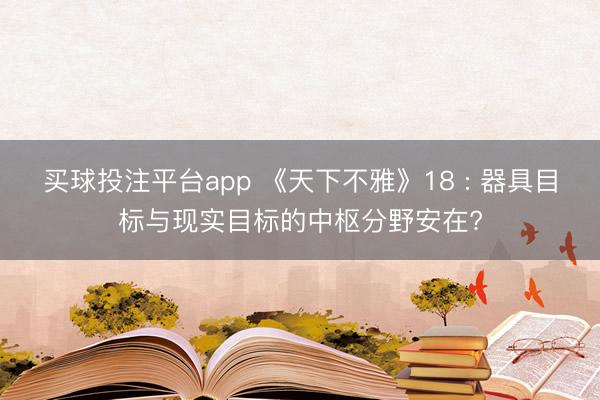 买球投注平台app 《天下不雅》18 : 器具目标与现实目标的中枢分野安在?