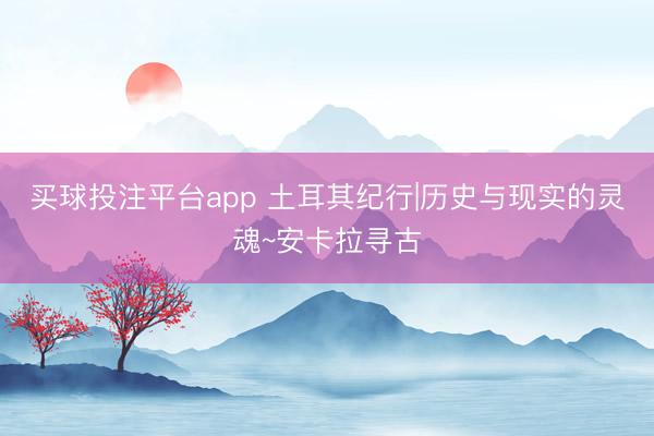 买球投注平台app 土耳其纪行|历史与现实的灵魂~安卡拉寻古