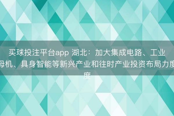 买球投注平台app 湖北:加大集成电路、工业母机、具身智能等新兴产业和往时产业投资布局力度