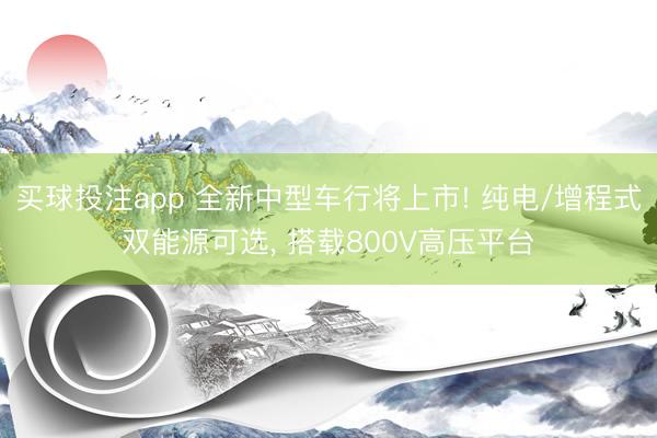 买球投注app 全新中型车行将上市! 纯电/增程式双能源可选， 搭载800V高压平台