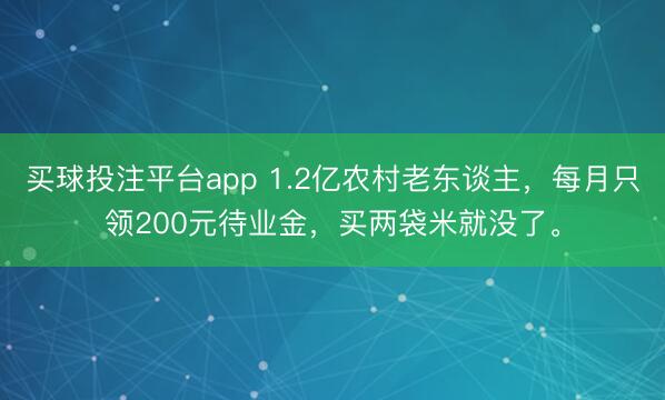 买球投注平台app 1.2亿农村老东谈主，每月只领200元待业金，买两袋米就没了。