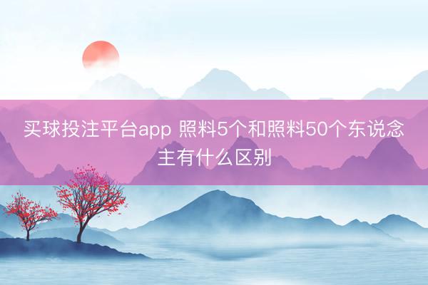 买球投注平台app 照料5个和照料50个东说念主有什么区别