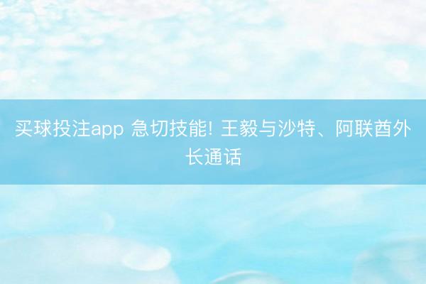 买球投注app 急切技能! 王毅与沙特、阿联酋外长通话