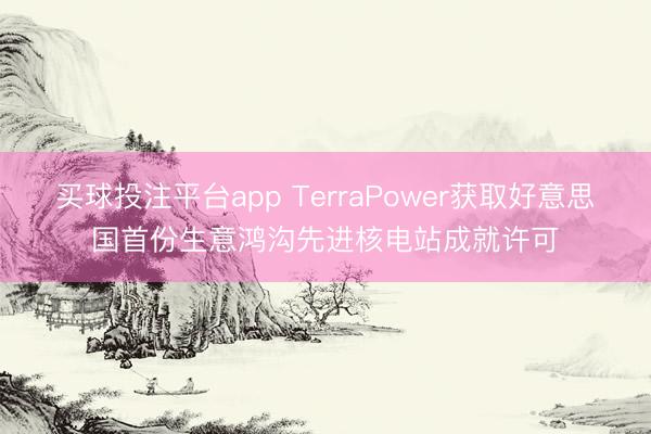 买球投注平台app TerraPower获取好意思国首份生意鸿沟先进核电站成就许可