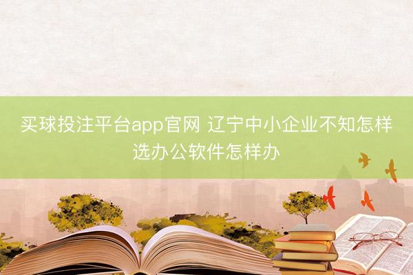 买球投注平台app官网 辽宁中小企业不知怎样选办公软件怎样办