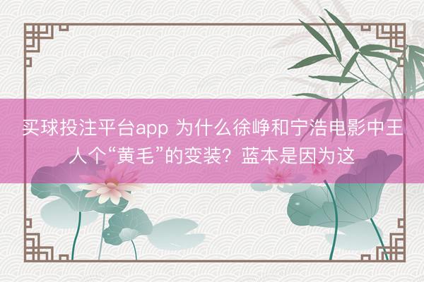买球投注平台app 为什么徐峥和宁浩电影中王人个“黄毛”的变装？蓝本是因为这