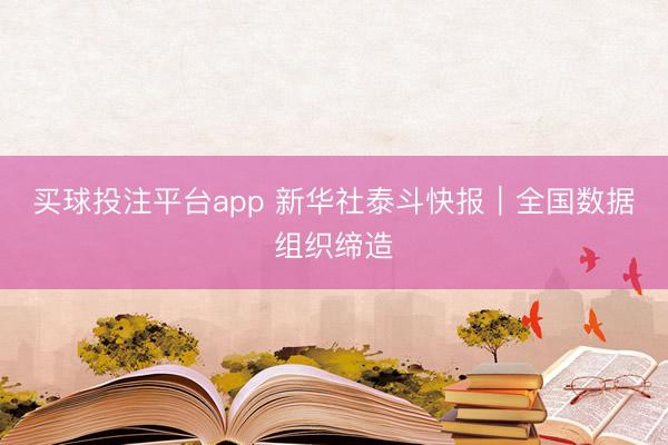 买球投注平台app 新华社泰斗快报｜全国数据组织缔造