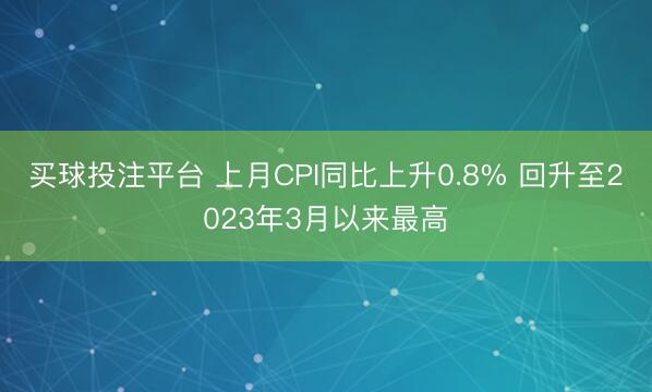 买球投注平台 上月CPI同比上升0.8% 回升至2023年3月以来最高