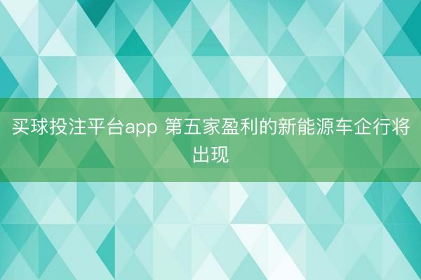 买球投注平台app 第五家盈利的新能源车企行将出现