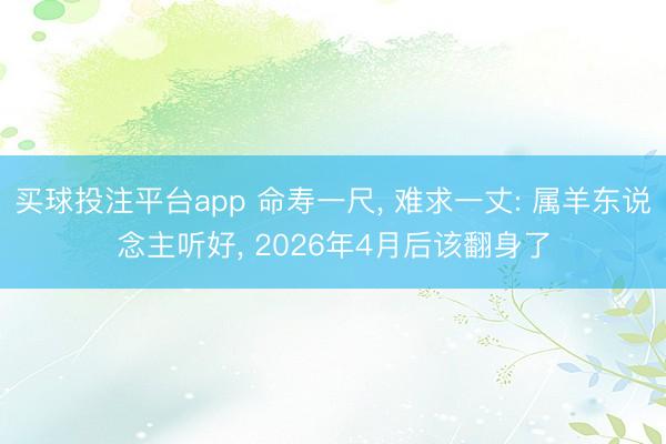 买球投注平台app 命寿一尺， 难求一丈: 属羊东说念主听好， 2026年4月后该翻身了