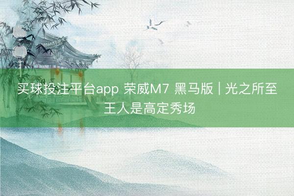 买球投注平台app 荣威M7 黑马版 | 光之所至 王人是高定秀场