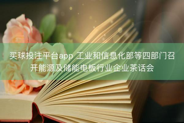 买球投注平台app 工业和信息化部等四部门召开能源及储能电板行业企业茶话会