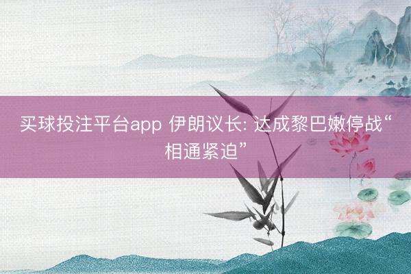 买球投注平台app 伊朗议长: 达成黎巴嫩停战“相通紧迫”
