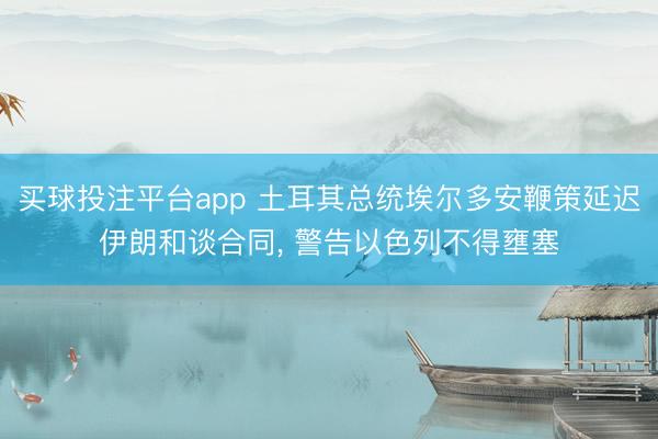 买球投注平台app 土耳其总统埃尔多安鞭策延迟伊朗和谈合同， 警告以色列不得壅塞
