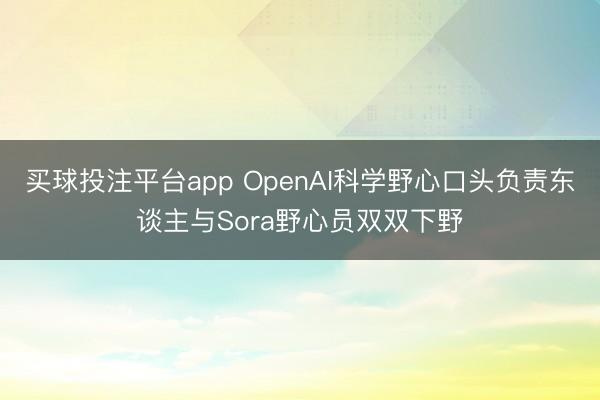 买球投注平台app OpenAI科学野心口头负责东谈主与Sora野心员双双下野