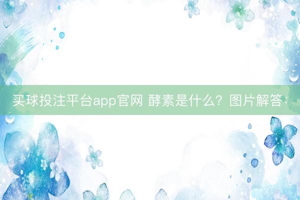 买球投注平台app官网 酵素是什么？图片解答：