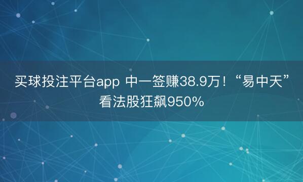 买球投注平台app 中一签赚38.9万！“易中天”看法股狂飙950%