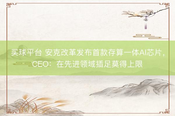 买球平台 安克改革发布首款存算一体AI芯片，CEO：在先进领域插足莫得上限