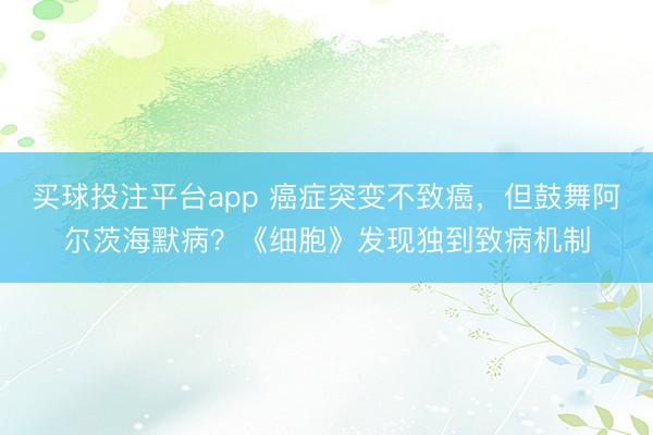 买球投注平台app 癌症突变不致癌，但鼓舞阿尔茨海默病？《细胞》发现独到致病机制