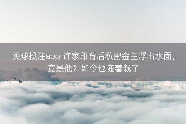 买球投注app 许家印背后私密金主浮出水面，竟是他？如今也随着栽了