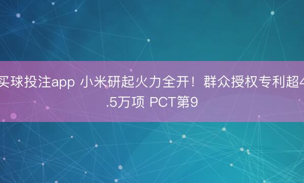 买球投注app 小米研起火力全开！群众授权专利超4.5万项 PCT第9