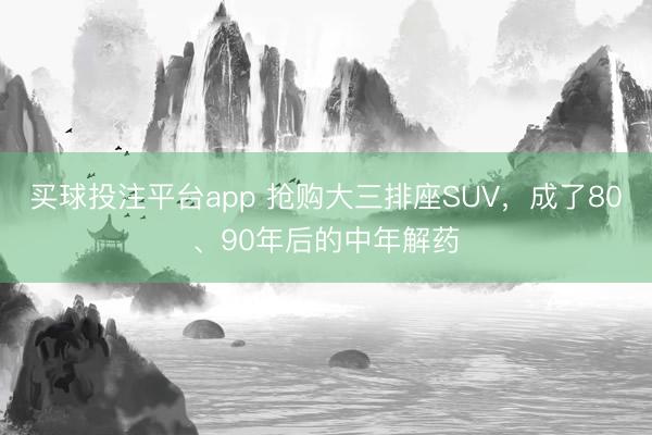 买球投注平台app 抢购大三排座SUV，成了80、90年后的中年解药