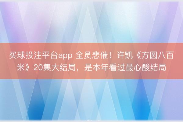 买球投注平台app 全员悲催！许凯《方圆八百米》20集大结局，是本年看过最心酸结局