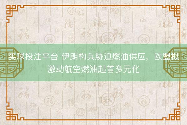 买球投注平台 伊朗构兵胁迫燃油供应，欧盟拟激动航空燃油起首多元化